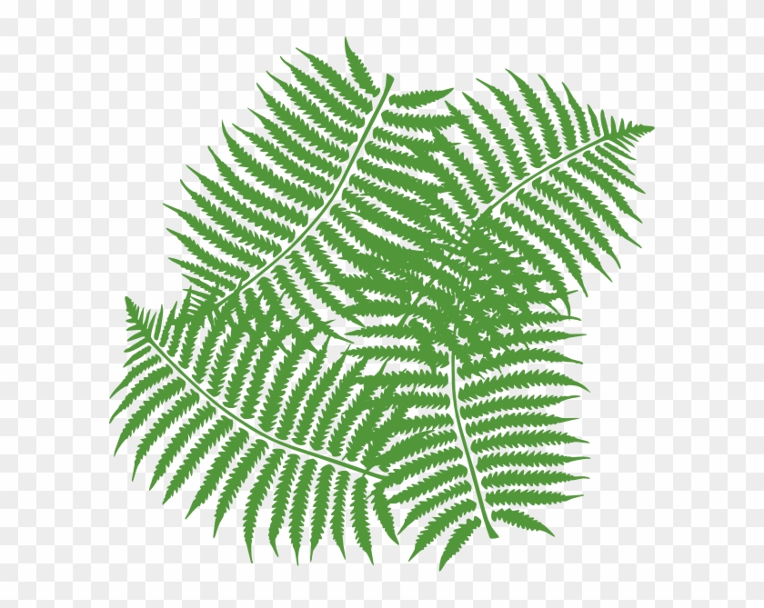 Leaves In Jungle Png Clipart #142588