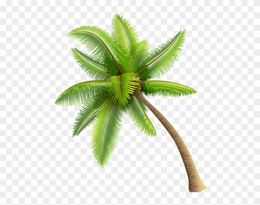 Green Palm Tree Png Clipart - Coconut Trees Vector Png Transparent Png #142652