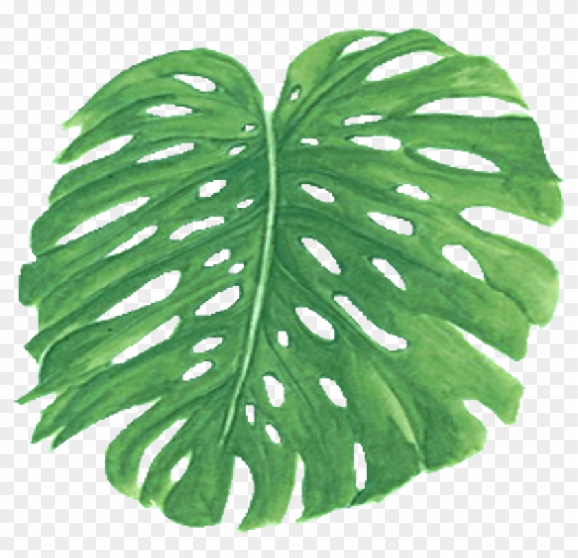 Palm Fronds Png - Fern Clipart #143032