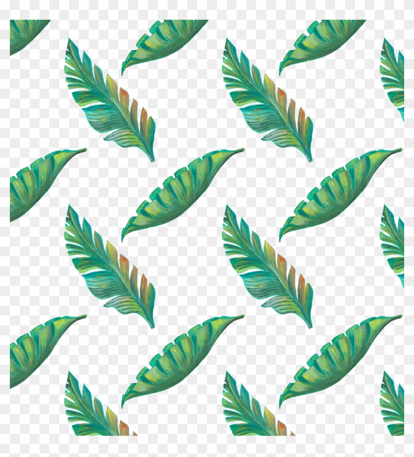 2215 X 2339 10 - Tropical Leaves Png Free Clipart #143055