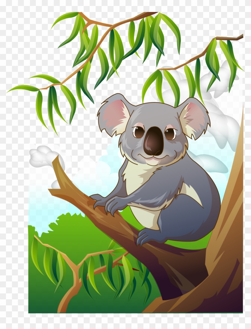Koala Clip Art - Коала Вектор - Png Download
