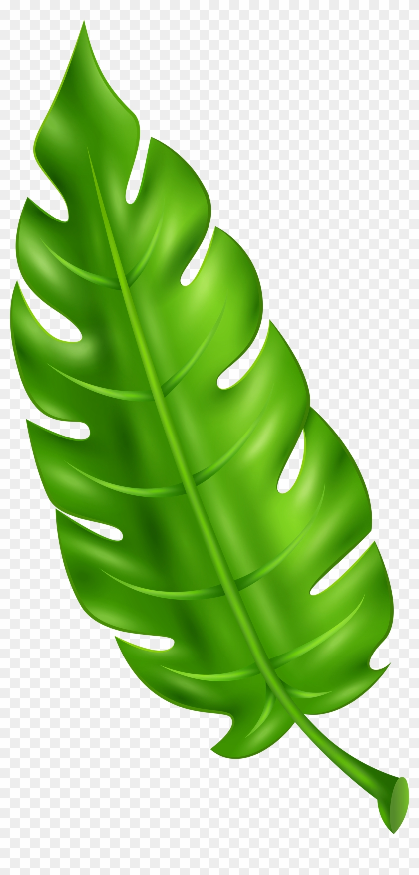 Exotic Green Leaf Clip Art Png Imageu200b Gallery Yopriceville - Leaf Clipart Png Transparent Png #143366