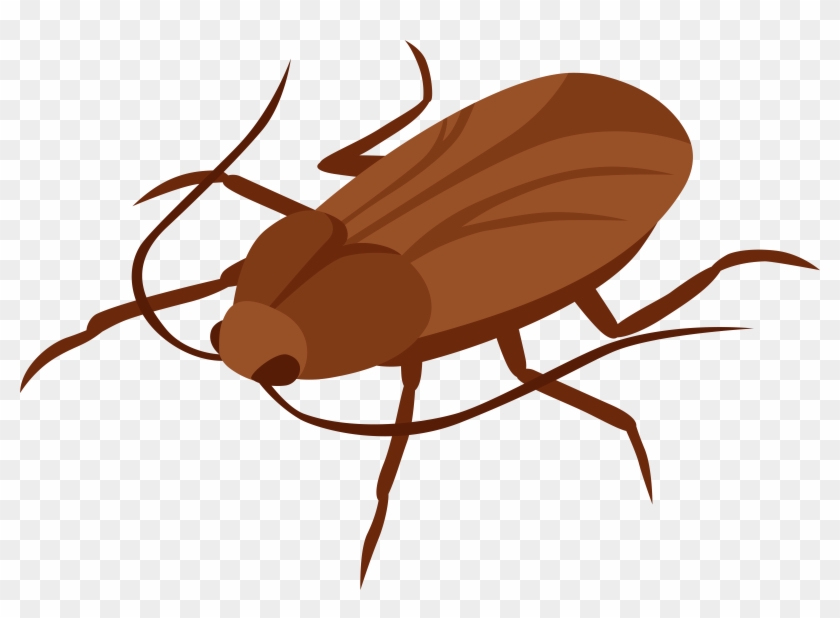 Cockroach Png Clip Art - Transparent Background Cockroach Clipart #144128