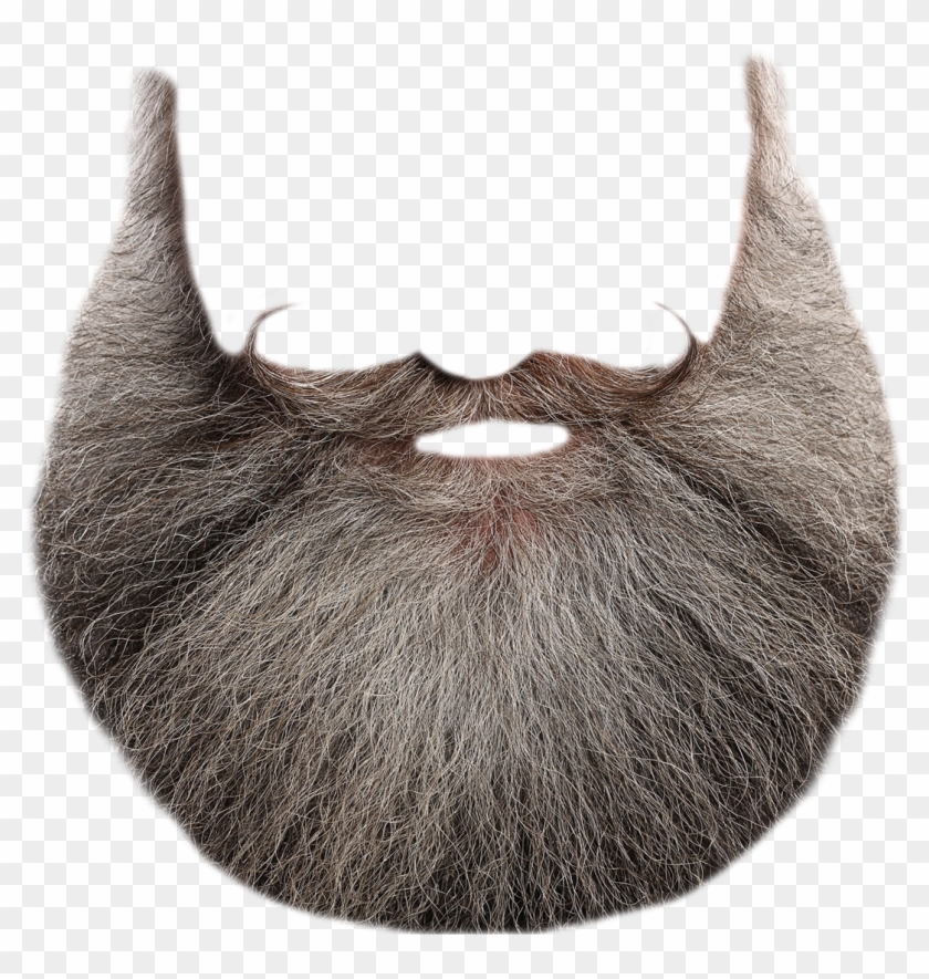 Beard Png Transparent - Santa Claus Beard Png Clipart #144817