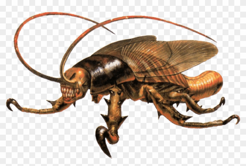 Free Png Download Cockroach Parasite Eve Png Images - Parasite Eve Cockroach Clipart
