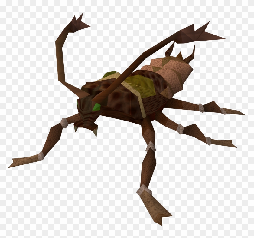 Cockroach Runescape Clipart #145164