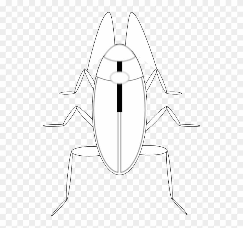 Cockroach Cucaracha Black White Line Art 555px - Cartoon Clipart #145465