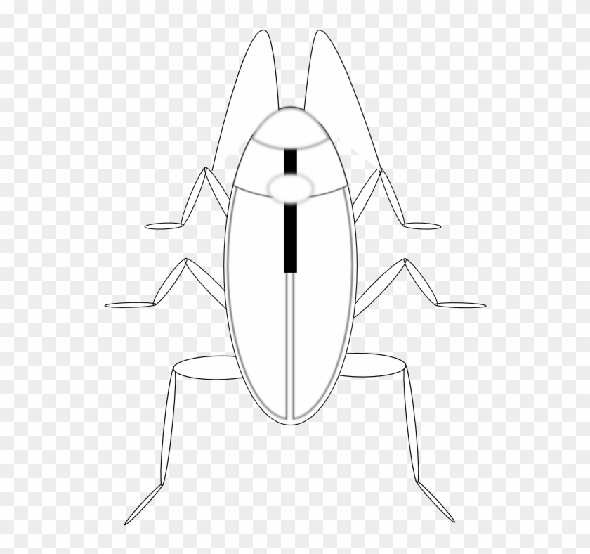 Cockroach Cucaracha Black White Line Art 555px - Cartoon Clipart