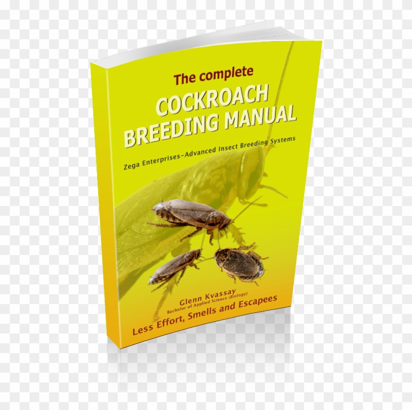 Cockroach Breeding Manual - Weevil Clipart #145489