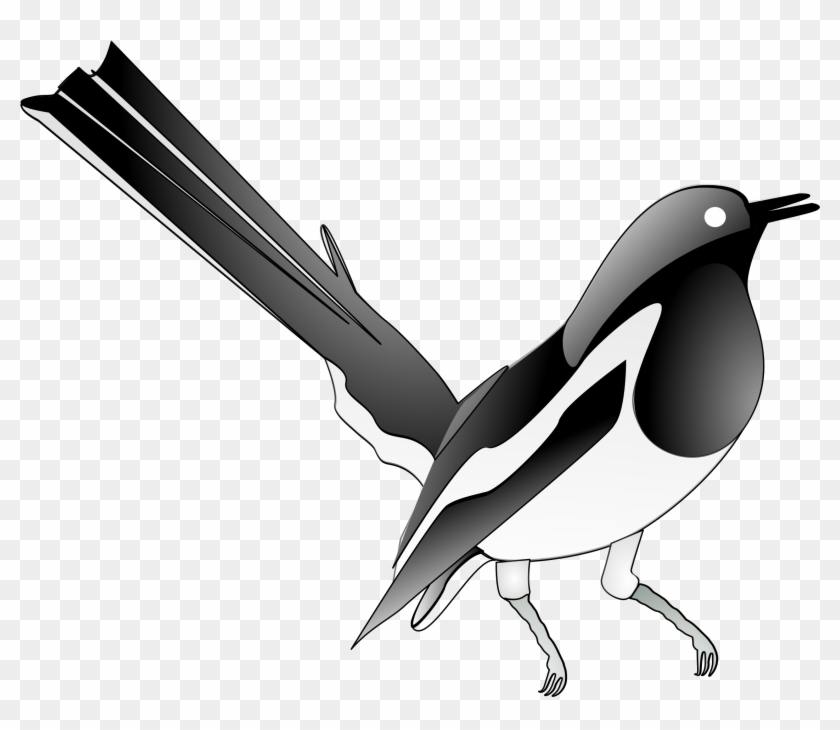 This Free Icons Png Design Of Oriental Magpie Robin - Oriental Magpie Robin Png Clipart