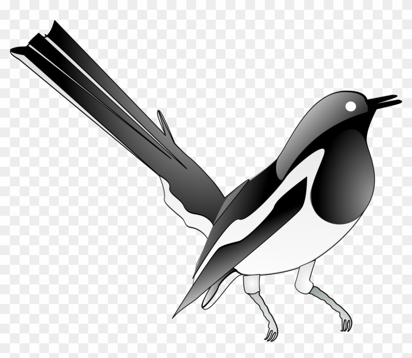 This Free Icons Png Design Of Oriental Magpie Robin - Oriental Magpie Robin Png Clipart #145548