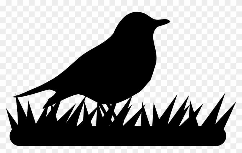 American Robin - American Robin Silhouette Clipart #145867