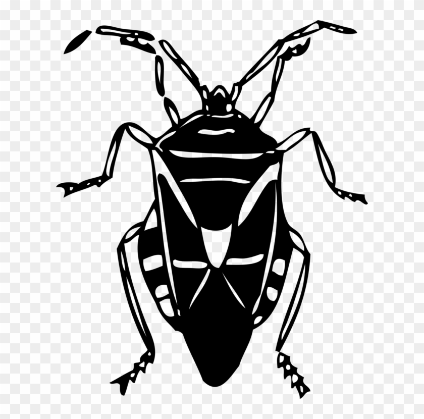 Cockroach Bug Insect Vector Clip Art - Bug Clip Art Black - Png Download