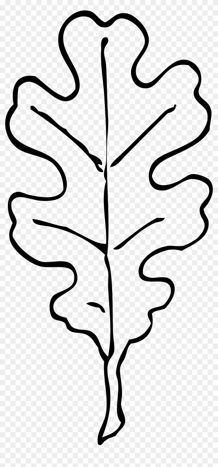 Black And White Leaf Border Clipart Free Clipart - Oak Leaf Clipart Black And White - Png Download
