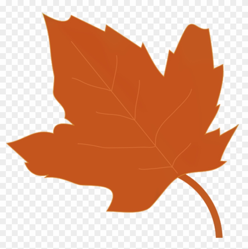 Fall Leaves Graphic Clip Art Beautiful Autumn Clipart - Autumn Leaves Clipart - Png Download