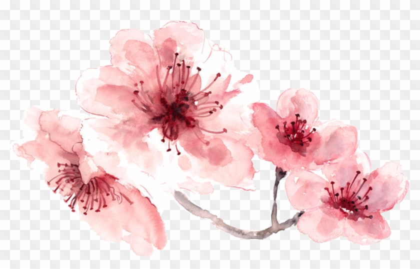 15 Pink Watercolor Flowers Png For Free On Mbtskoudsalg - Transparent Flowers Png Watercolor Clipart #147265