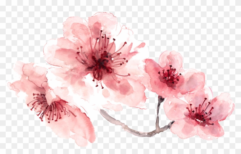 15 Pink Watercolor Flowers Png For Free On Mbtskoudsalg - Transparent Flowers Png Watercolor Clipart