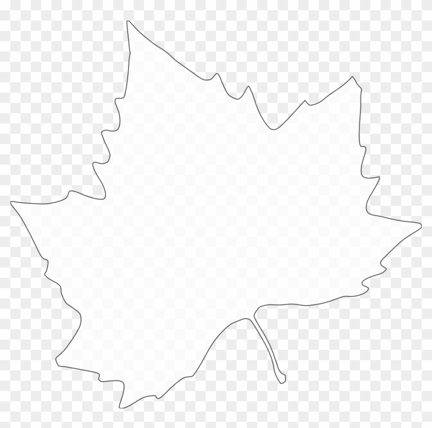 Autumn Borders Black And White Clipart - Black And White Autumn Leaves Png Transparent Png