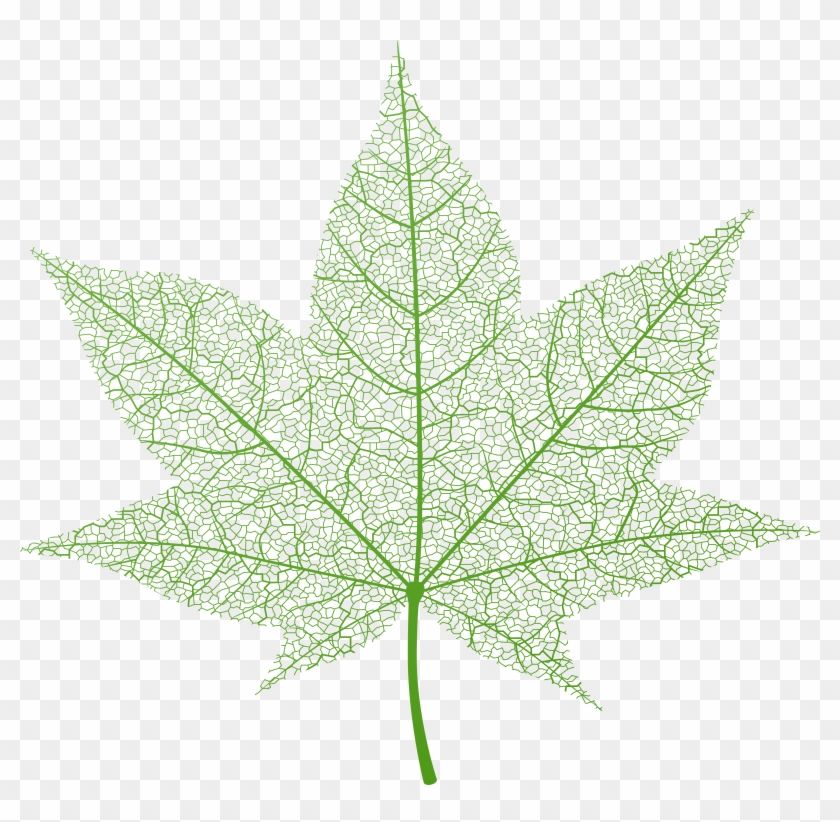Transparent Green Autumn Leaf Png Clip Art Image Gallery - Modern Fall Clip Art