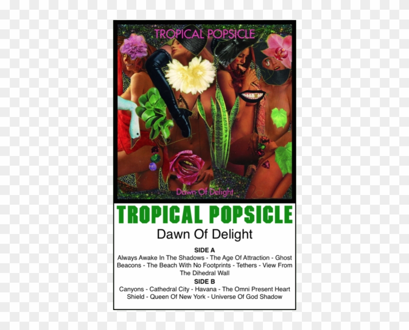 Tropical Popsicle- "dawn Of Delight" - African Daisy Clipart