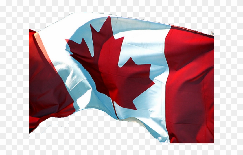 Canada Flag Png Transparent Images - Canadian Flag Png File Clipart