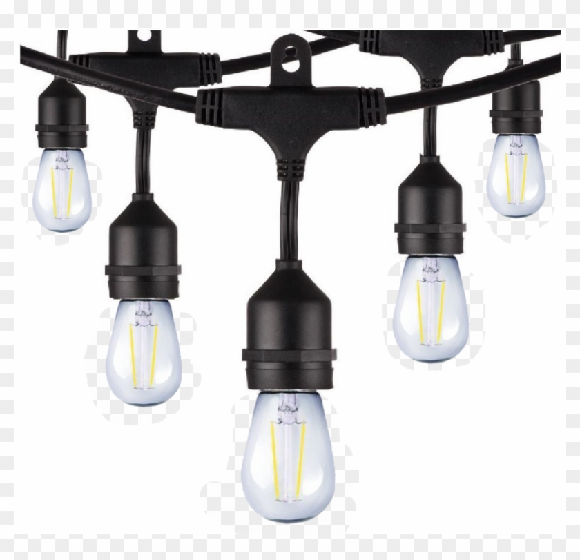Led String Lights With S14 Bulbs Clipart #148215