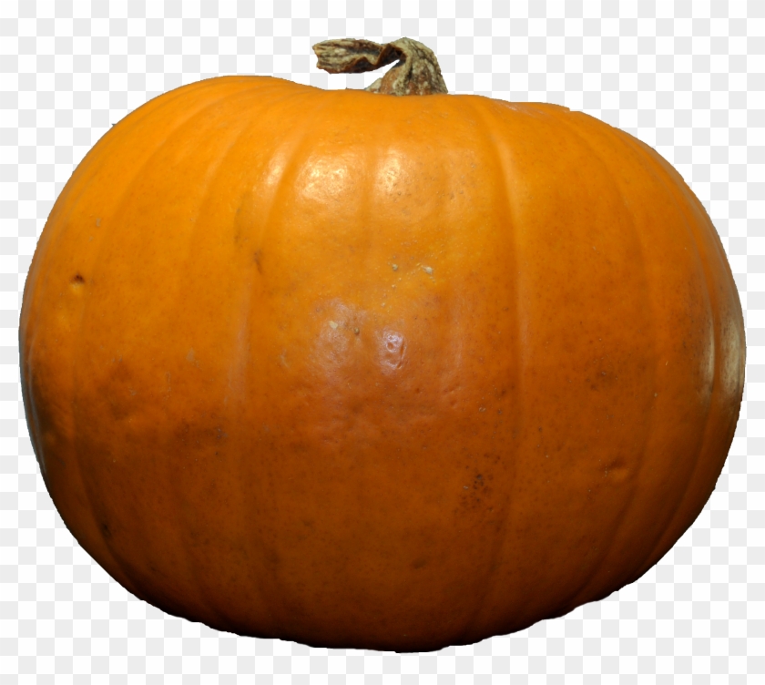 Pumpkin Png Image - Pumpkin Png Clipart #148789
