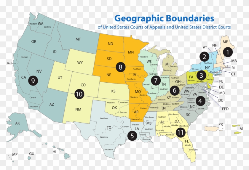 A Case You Should Know About From Each Circuit Court - Courts Of Appeals Map Clipart #149230