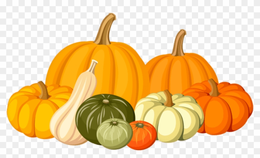 Download Autumn Pumpkins Png Images Background - Transparent Background Gourd Clipart #149258