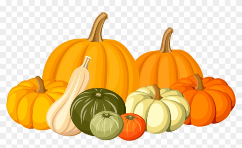 Download Autumn Pumpkins Png Images Background - Transparent Background Gourd Clipart