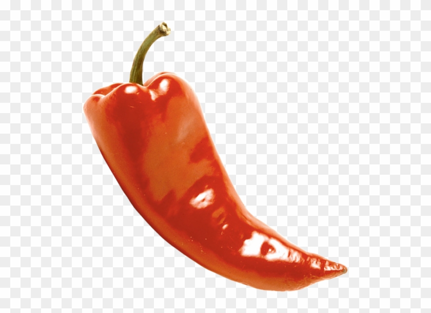 Red Pepper - Bird's Eye Chili Clipart