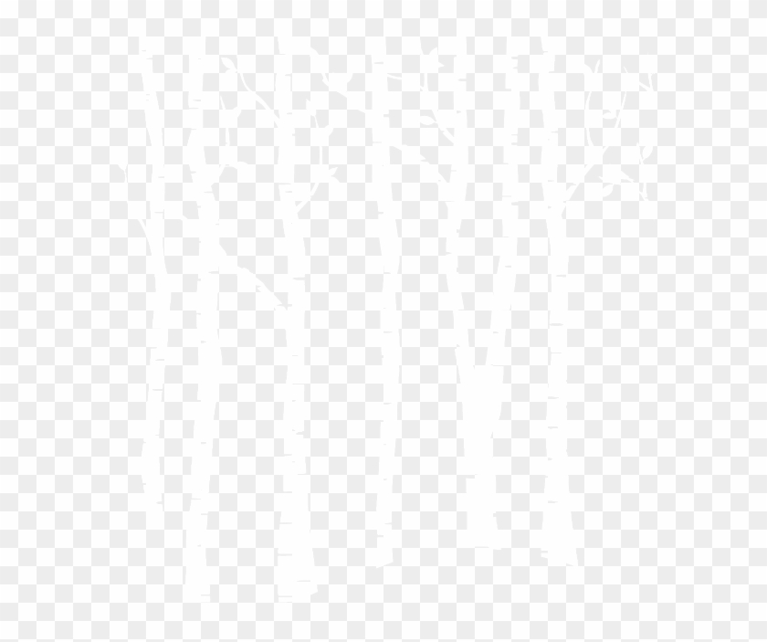 Treelinewhite2 - Birch Clipart #149721