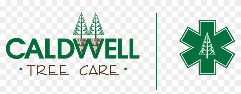 Graphic Design Clipart #149859