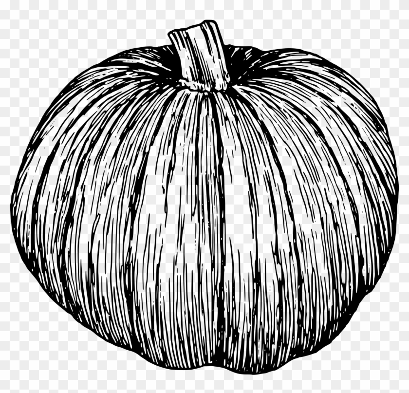 Black And White Pumpkin Drawing Clipart #149979
