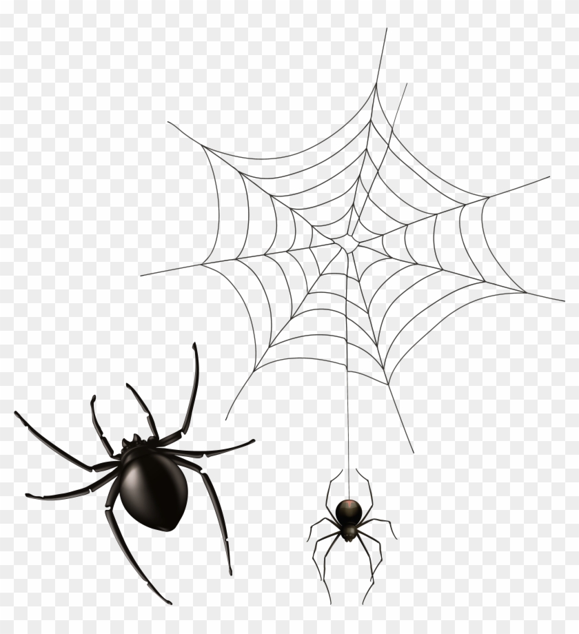 Spider And Cobweb Png Clipart Image - Painted Spider Transparent Png #1400013