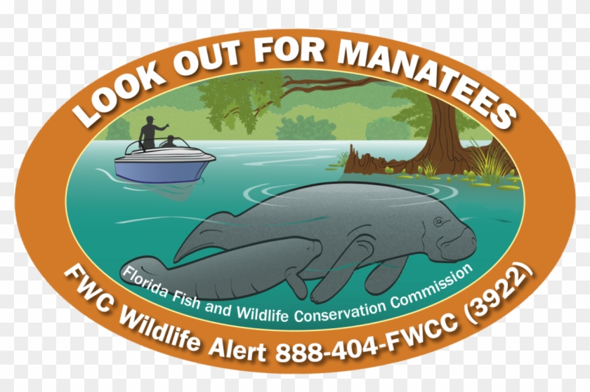 Decals Available To Show Support For Florida's Manatees, - Whale Clipart #1401704