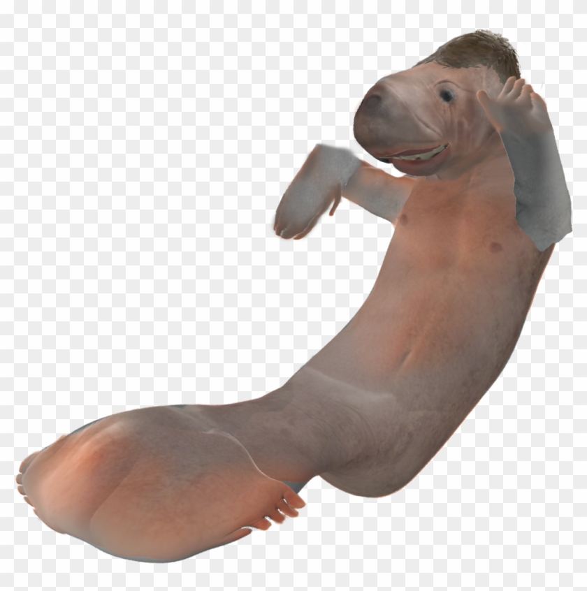 Manatee Tf , Png Download Clipart