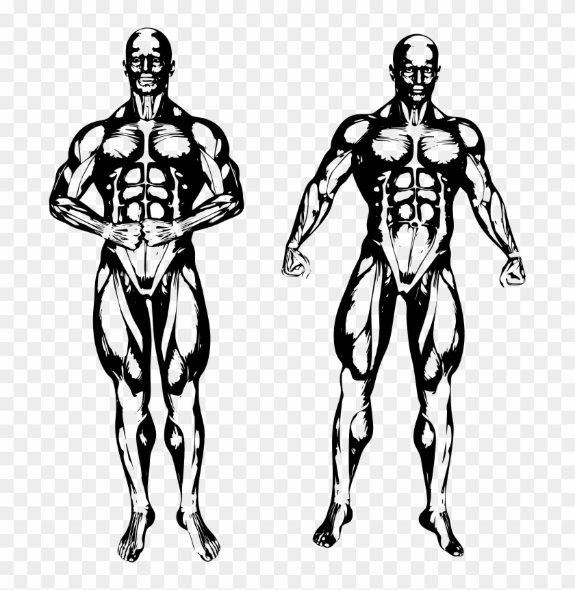 Medium Image - Illustration Clipart