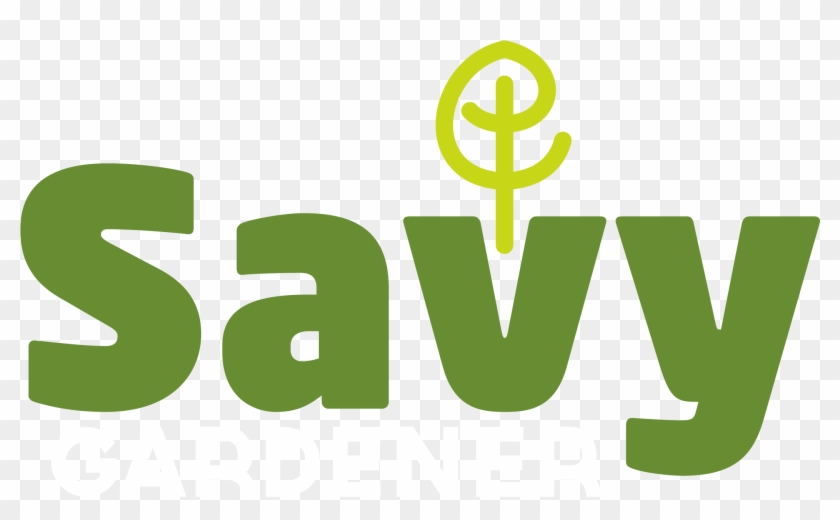 Graphic Design Clipart