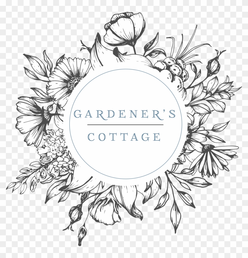 Illustration Clipart