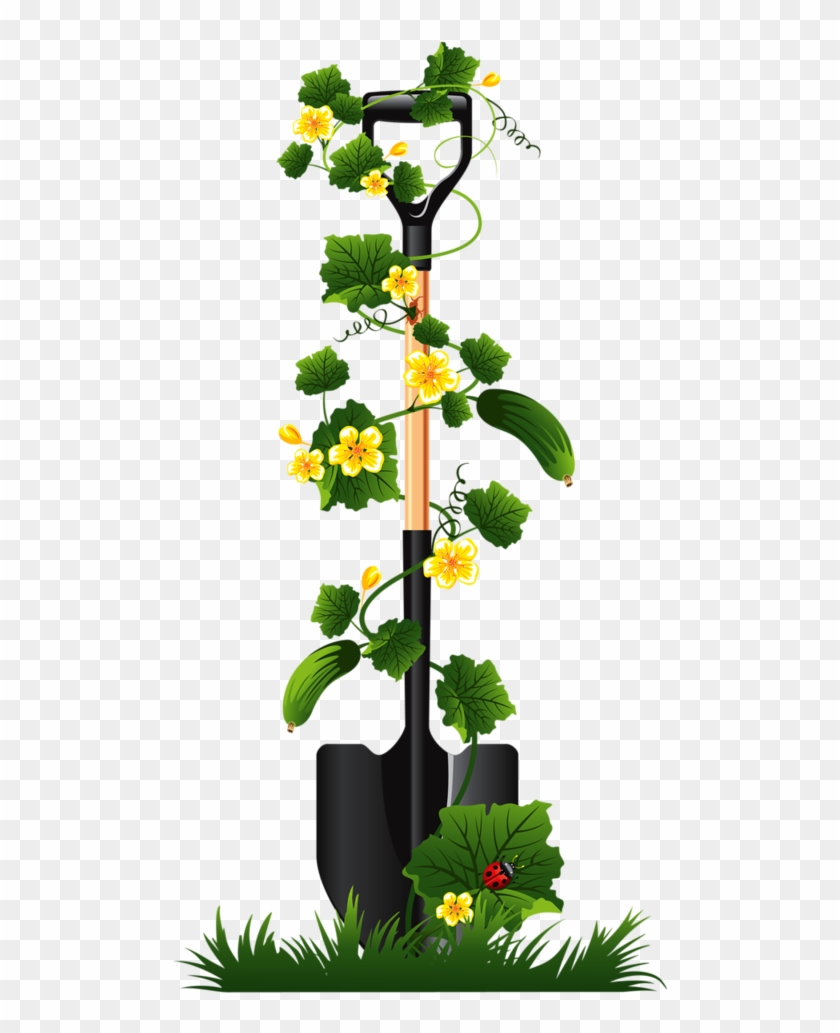 Image Library Library Gardener Clipart Plant Seedling - Vector Graphics - Png Download