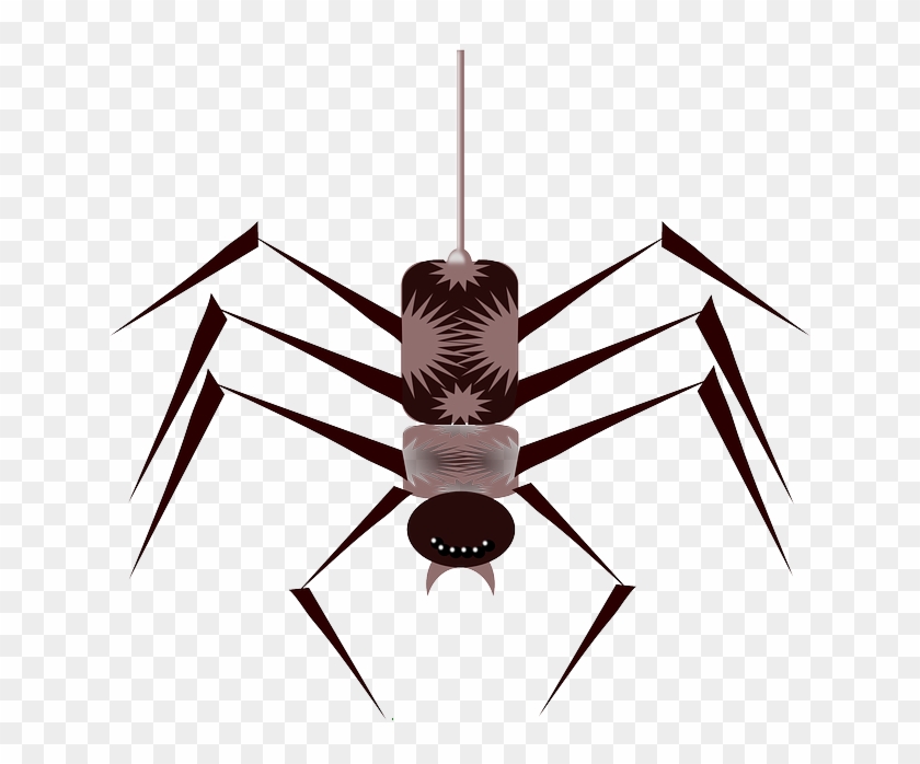 Cartoon, Bugs, Spider, Bug, Free, Web, Insect, Insects - Cartoon Spider Clipart #1404865