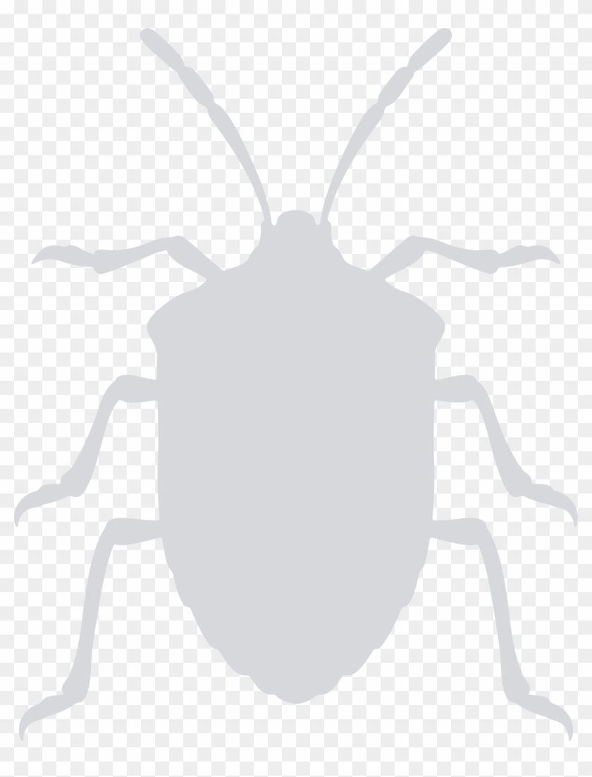 This Free Icons Png Design Of Stink Bug Clipart #1405237