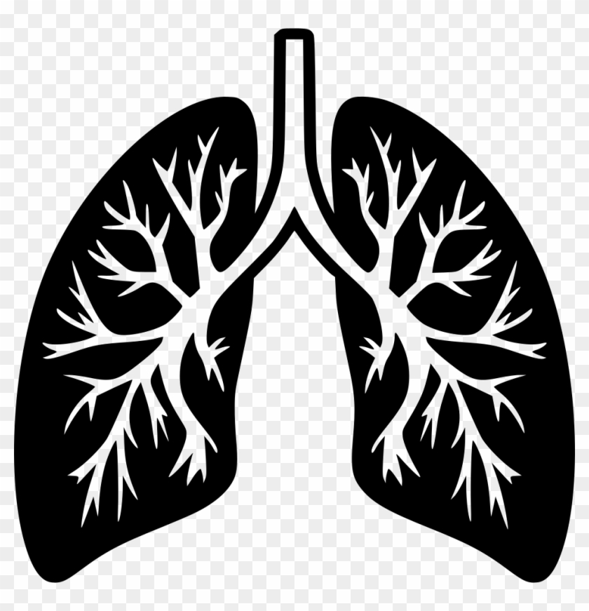 Png File Svg - Lungs Png Clipart #1408019