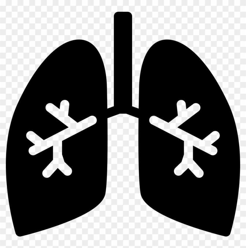 Picture Download Lungs With Svg Png Icon Free Download - Bronchi Icon Png Clipart