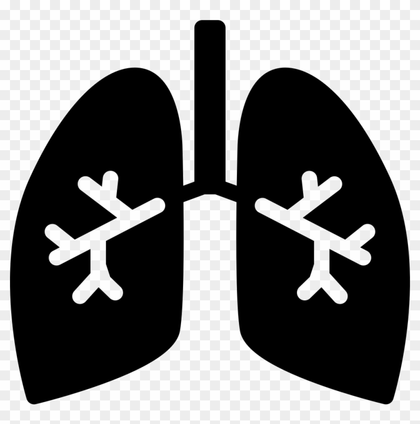 Picture Download Lungs With Svg Png Icon Free Download - Bronchi Icon Png Clipart #1408524