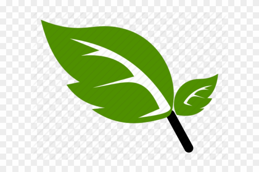Green Leaf Icon - Logo Nature Png Clipart #1409197