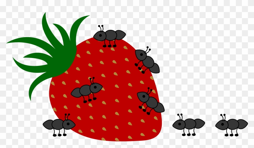 Foods Clipart Picnic - Picnic Joaninha Png Transparent Png