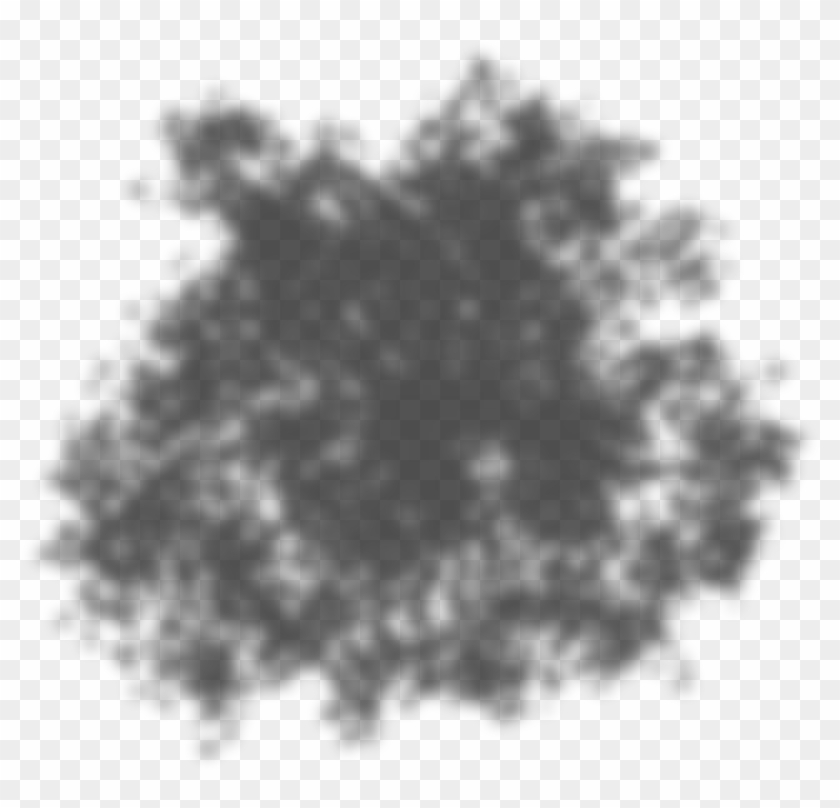 Tree Shadow Png Clipart