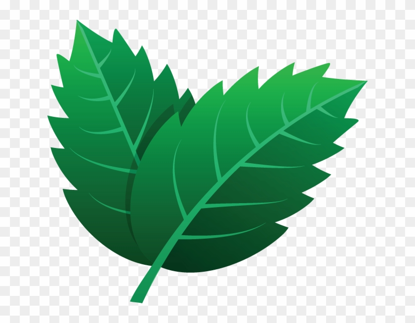 725 Leaves Icon - Kartun Daun Hijau Clipart #1409590